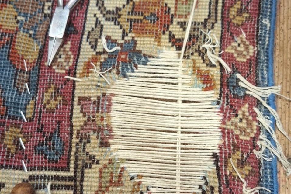 Enlever les poils de chien et de chat d'un tapis