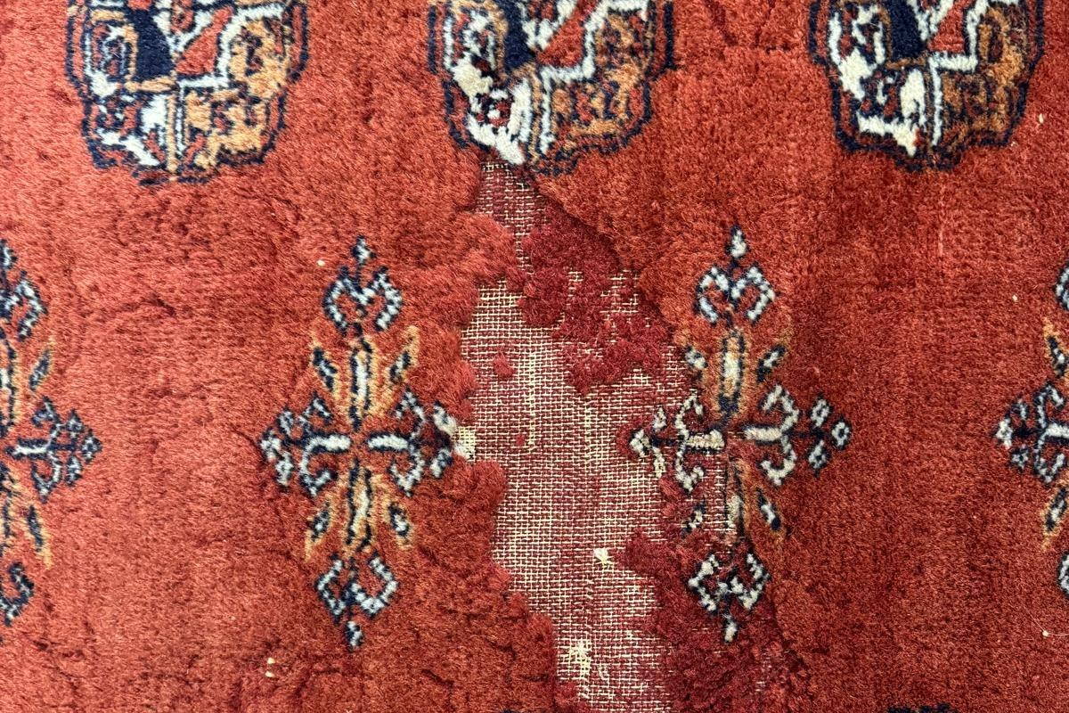 Traitement anti-mites pour tapis — L'Art de la Restauration